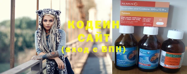 хмурый Алзамай