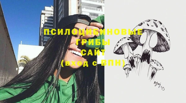 хмурый Алзамай