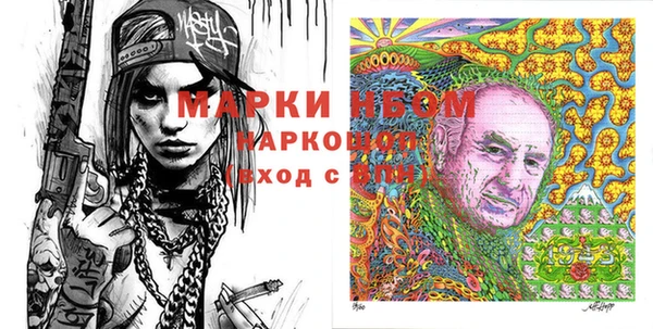 хмурый Алзамай
