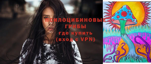 mdpv Ельня