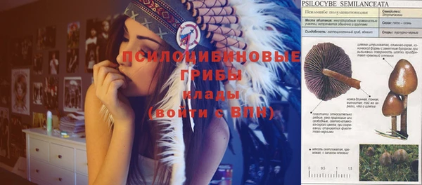 меф Алексин