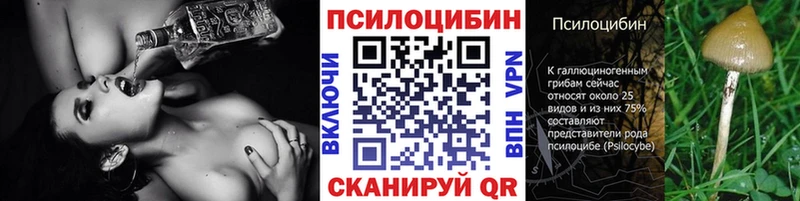 KRAKEN маркетплейс  Тюмень  Галлюциногенные грибы мицелий  закладка 